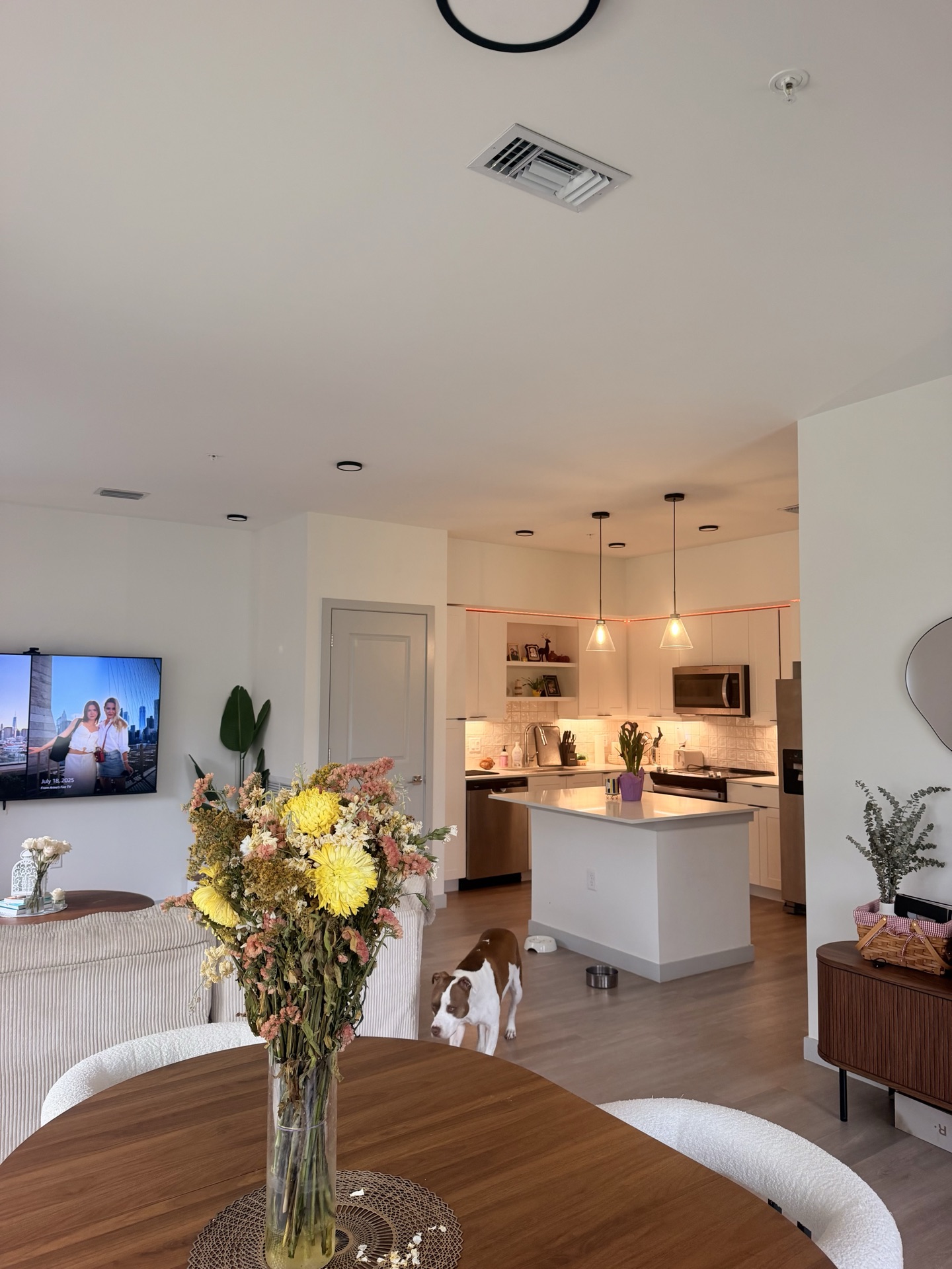 Dining and kitchen with Ellie in the open living space