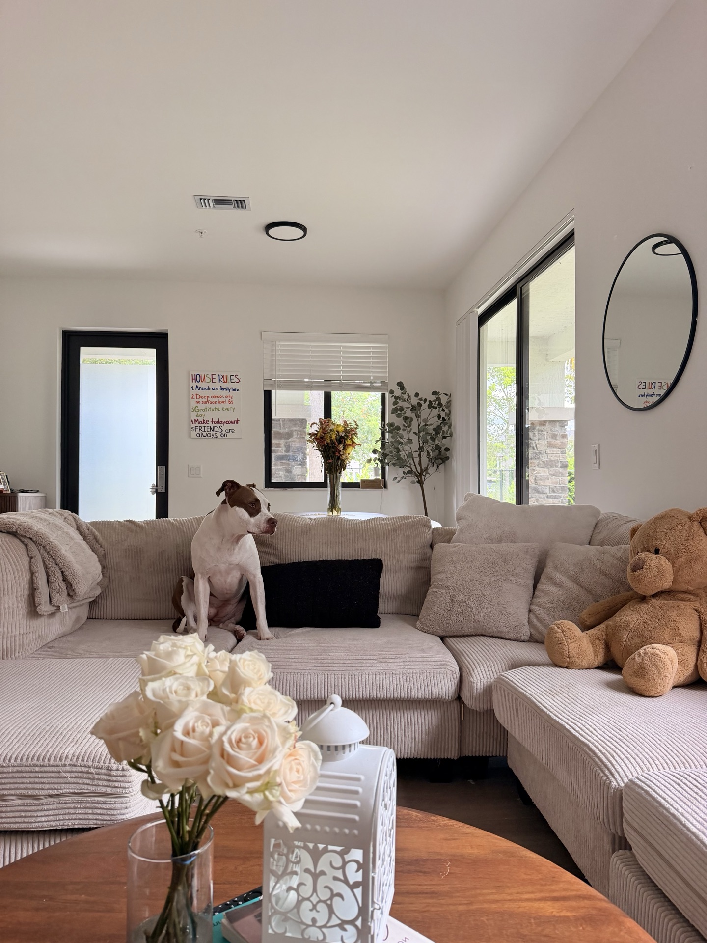 Living room sofa with Ellie and patio light