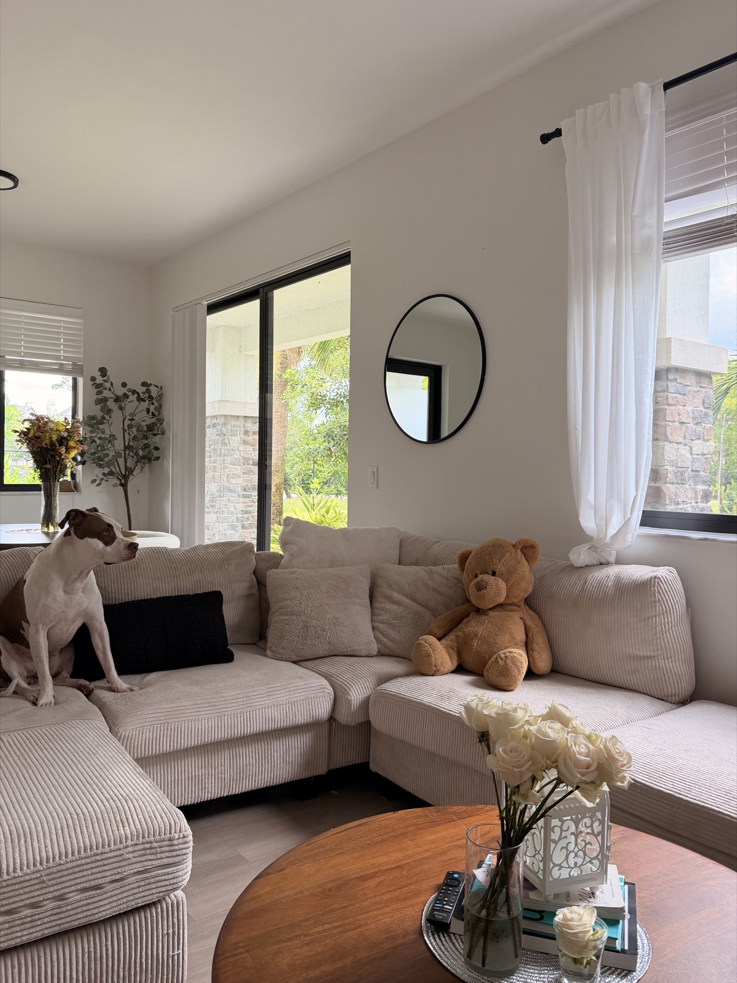 Corduroy sofa with Ellie, roses, and coffee table