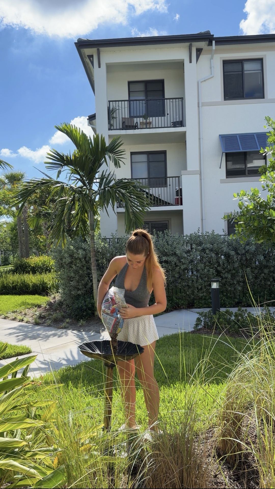 Apartment grounds with a sidewalk, palms, and a birdbath